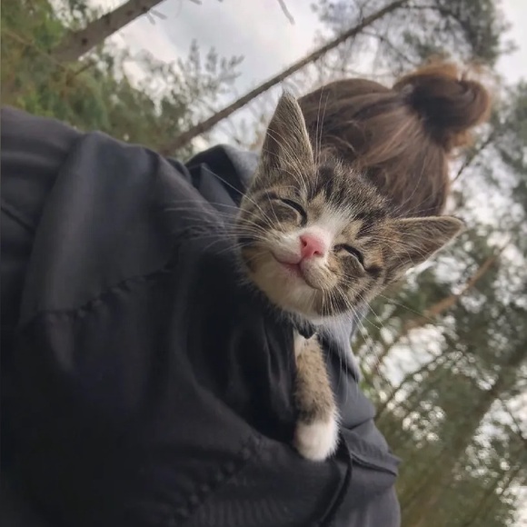 sassycattcloset